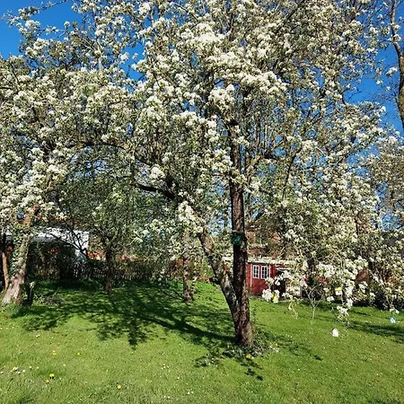 Apartman Marthas Insel